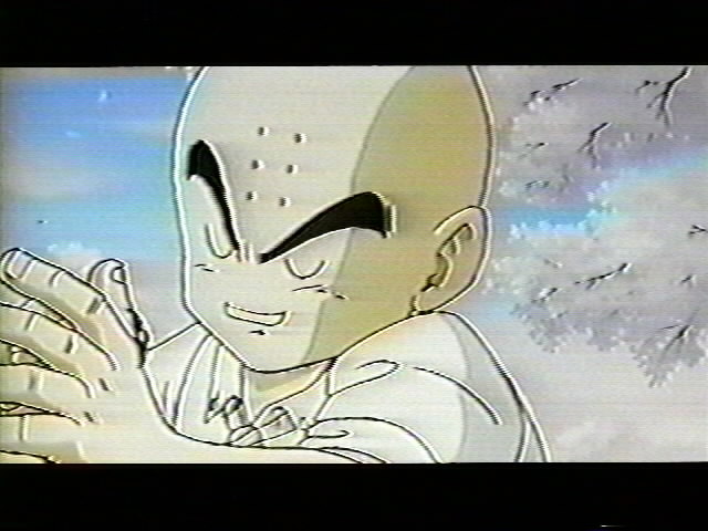 Dragonball Z Movie 8 (8).jpg